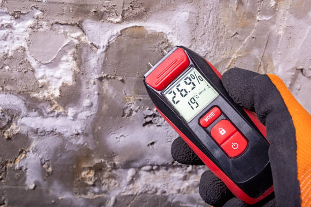 Best Black Mold Remediation in Logan, WV