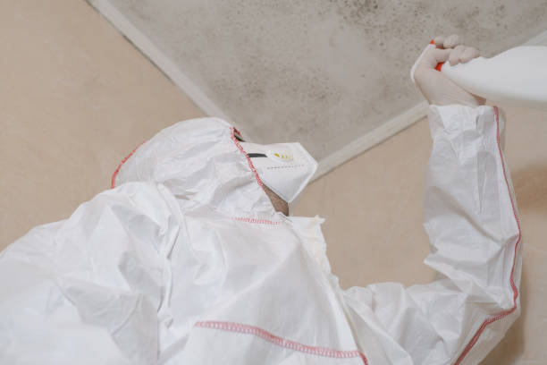 Best Post-Remediation Services in Logan, WV